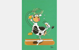 Animation pour les Ados et tournoi &quot;VACHE&quot;